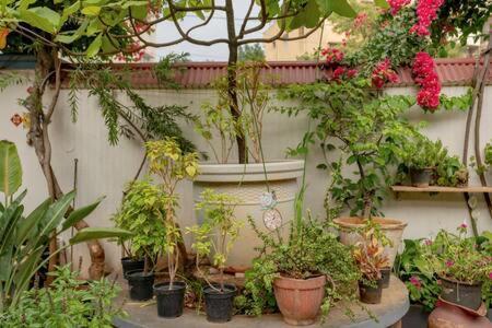 העיר בנגלור Eden Garden Villa By Jadecaps Nr Mg Road Garden מראה חיצוני תמונה