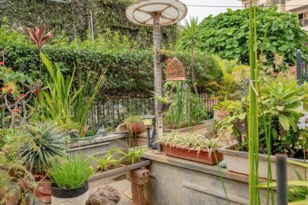 העיר בנגלור Eden Garden Villa By Jadecaps Nr Mg Road Garden מראה חיצוני תמונה