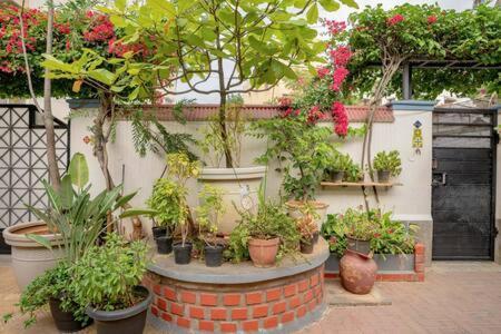 העיר בנגלור Eden Garden Villa By Jadecaps Nr Mg Road Garden מראה חיצוני תמונה